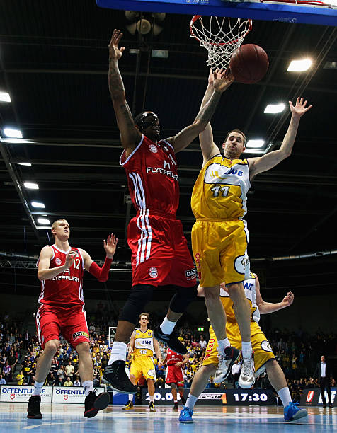 与灰熊体系 与灰熊体系